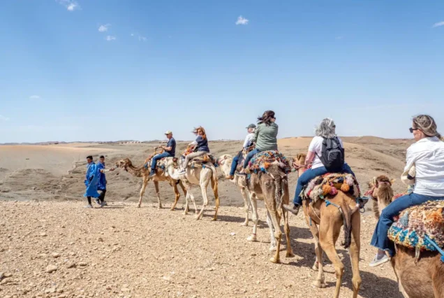 Sunset Camel Ride Tour in Agafay Desert
